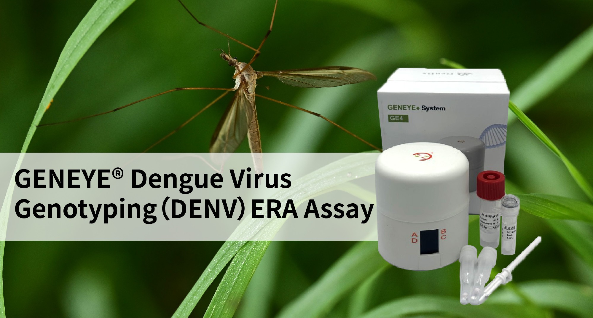 GENEYE® DENV Genotyping ERA Assay