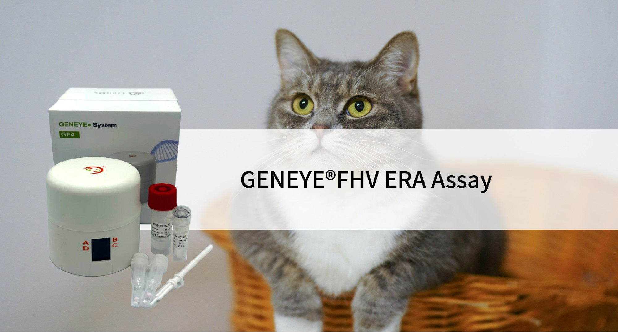 GENEYE®FHV ERA Assay