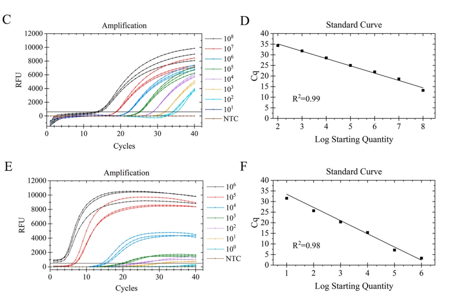 Development of a real-time enzymatic recombinase amplification assay (RT-ERA) and an ERA combined with lateral flow dipsticks (LFD) assay (ERA-LFD) for rapid detection of acute hepatopancreatic necrosis disease (AHPND) in shrimp Penaeus vannameimbined with lateral flow dipsticks (LFD) assay (ERA-LFD) for rapid detection of acute hepatopancreatic necrosis disease (AHPND) in shrimp Penaeus vannamei