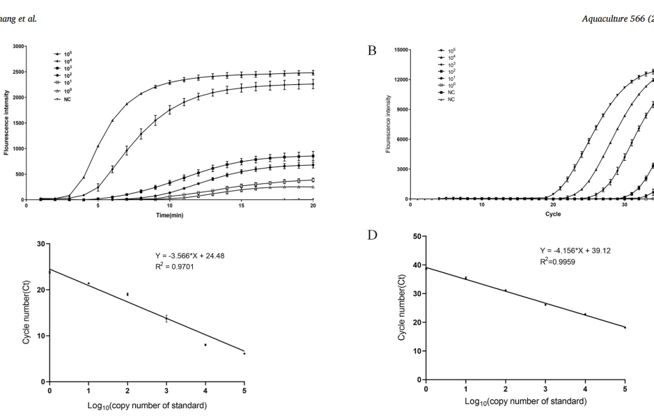 Rapid detection of white spot syndrome virus in Penaeus vannamei based on real-time enzymatic recombinase amplification