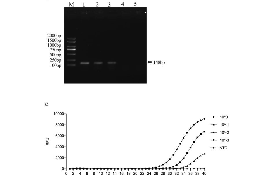 An isothermal enzymatic recombinase amplification (ERA) assay for rapid and accurate detection of Enterocytozoon hepatopenaei infection in shrimp