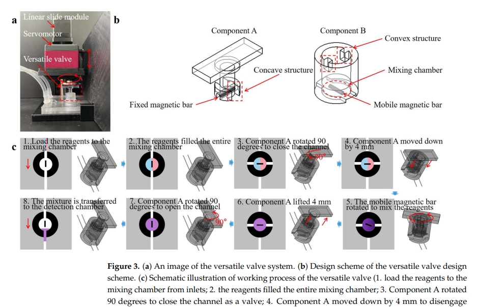 An Integrated Microfluidic Biosensing System Based on a Versatile Valve and Recombinase Polymerase Amplification for Rapid and Sensitive Detection of Salmonella typhimurium