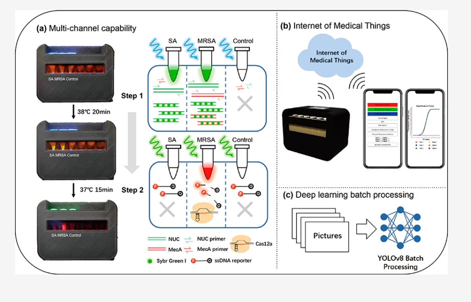 A Multichannel Fluorescence Isothermal Amplification Device with Integrated Internet of Medical Things for Rapid Sensing of Pathogens through Deep Learning