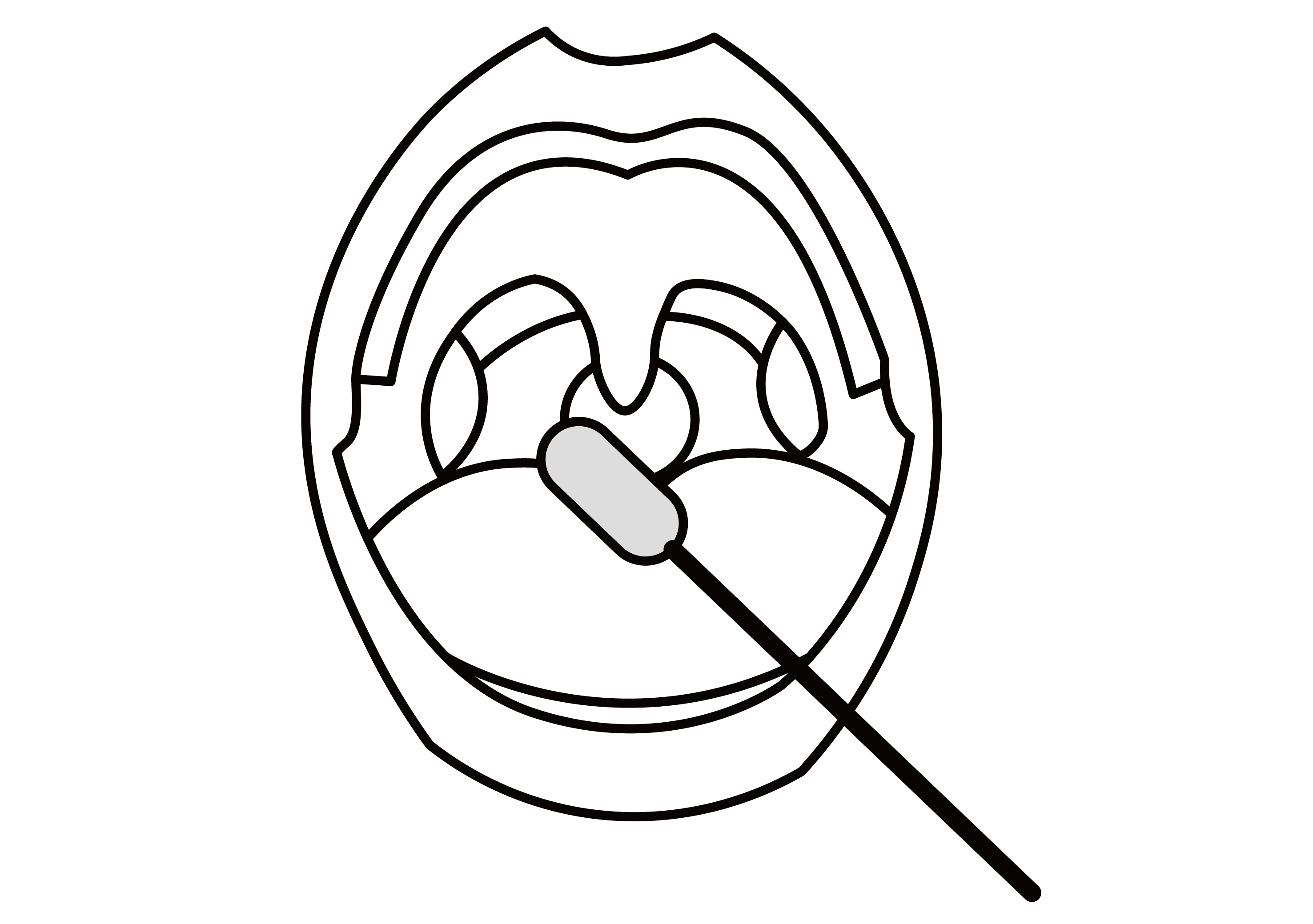 舌拭子_画板 1.png