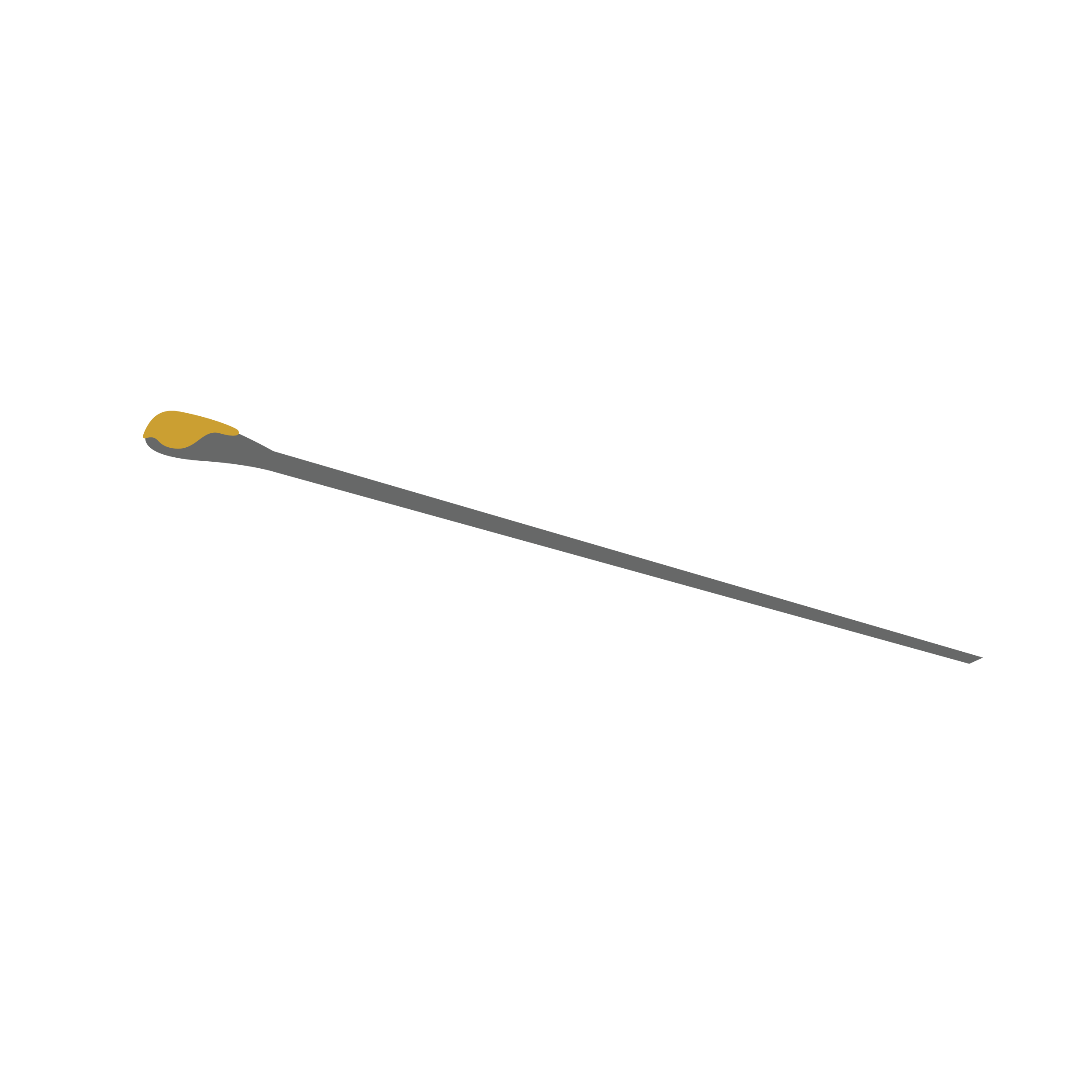 粪便_画板 1.png