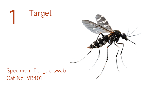 GENEYE® Dengue Virus (DENV) ERA Assay