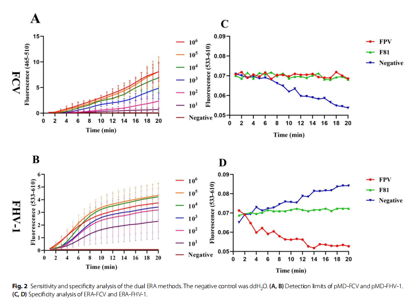 Development and application of a dual ERA  method for the detection of Feline Calicivirus  and Feline Herpesvirus Type I