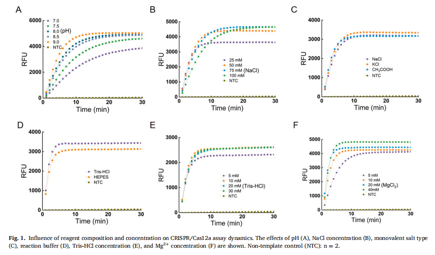 OPERA-Cas12a: A streamlined one-pot system for specific and sensitive  on-site detection of nucleic acids