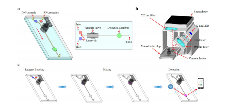 An Integrated Microfluidic Biosensing System Based on a Versatile Valve and Recombinase Polymerase Amplification for Rapid and Sensitive Detection of Salmonella typhimurium