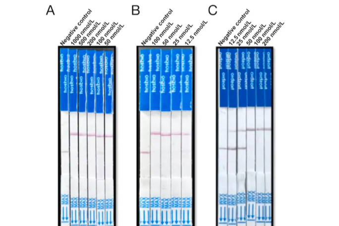 A RT-ERA-CRISPR/Cas12a assay for rapid point-of-care duck hepatitis A virus detection